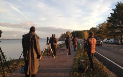 Linturetkijuttuni Visit Lahden sivulla