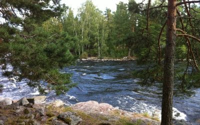 Kalkkistenkoski, Pulkkilanharju ja muita opastuksia